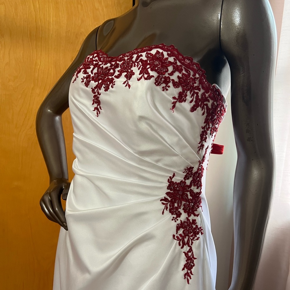 David’s bridal T9264 white with red apple embroidery